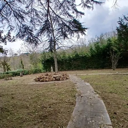Ombra Dei Pini 4*