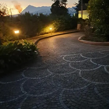 Ombra Dei Pini