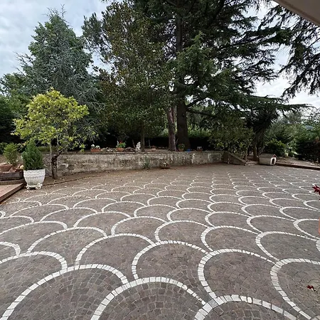 Ombra Dei Pini 住宿加早餐酒店 San Leucio del Sannio