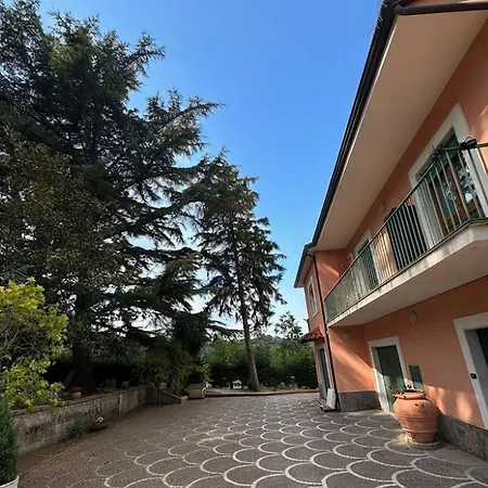 Ombra Dei Pini